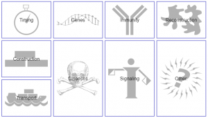 BiochemicalPathways.png