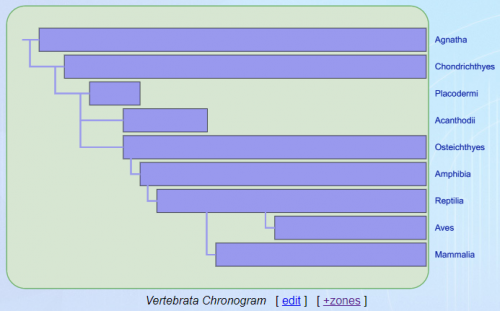 Chronogram1.png